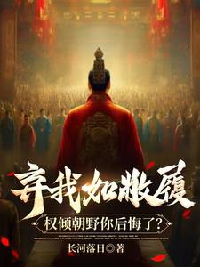 穿越弃子：凡日月所照皆为汉土！